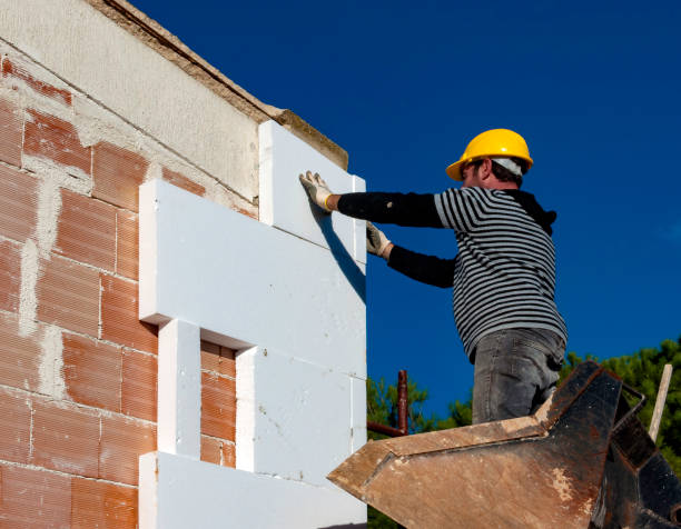 Best Types of Insulation in Maple Park, IL