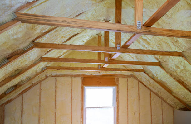 Best Insulation Installation Services in Maple Park, IL