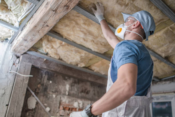 Best Insulation for Specific Applications in Maple Park, IL